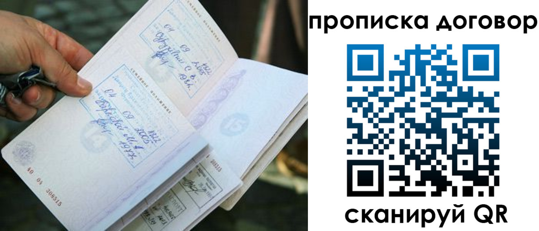 прописка для школы в Ясном